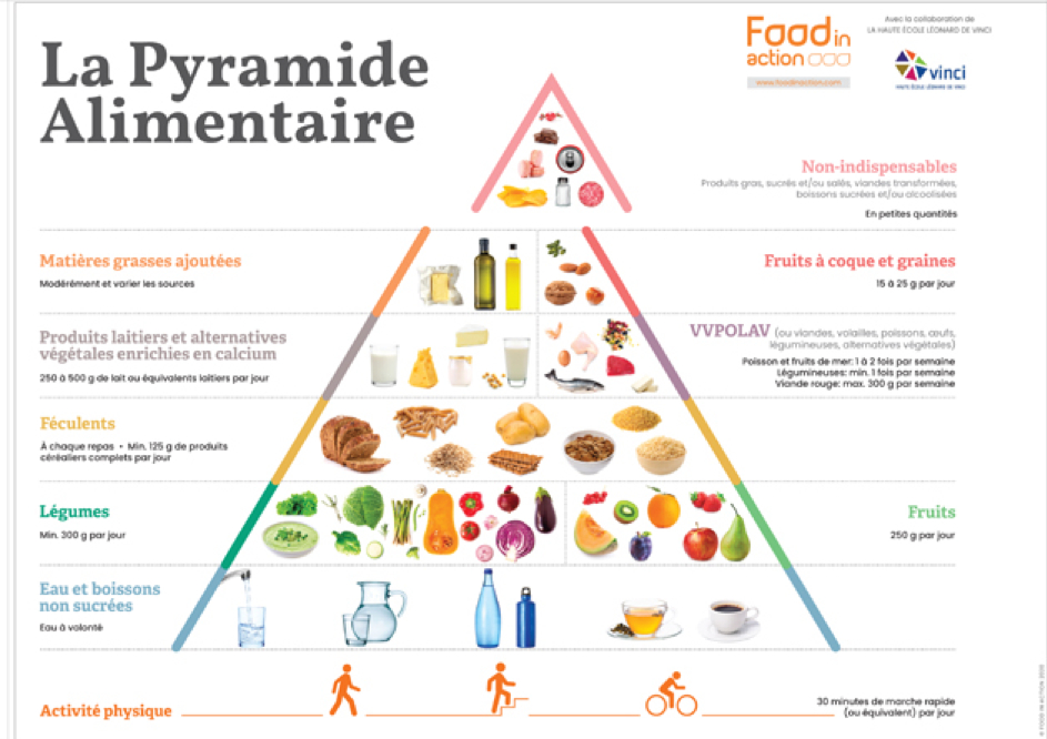 Cliquez sur l'image pour voir, en détail, la célèbre pyramide alimentaire .